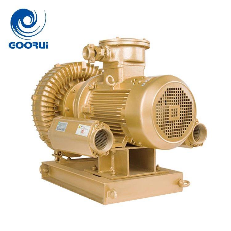Customized Atex Anti-Explosion Explosion-Proof High Pressure Side Channel Blowers and Vacuum Pumps with Frequency Conversion for Biogas Transfer