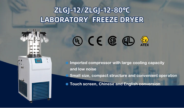 Mini Freeze Dryer for Small Home /Lab 2.5L