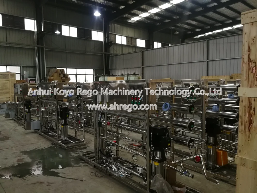 12000L/H RO System Water Treatment Water Purification Line