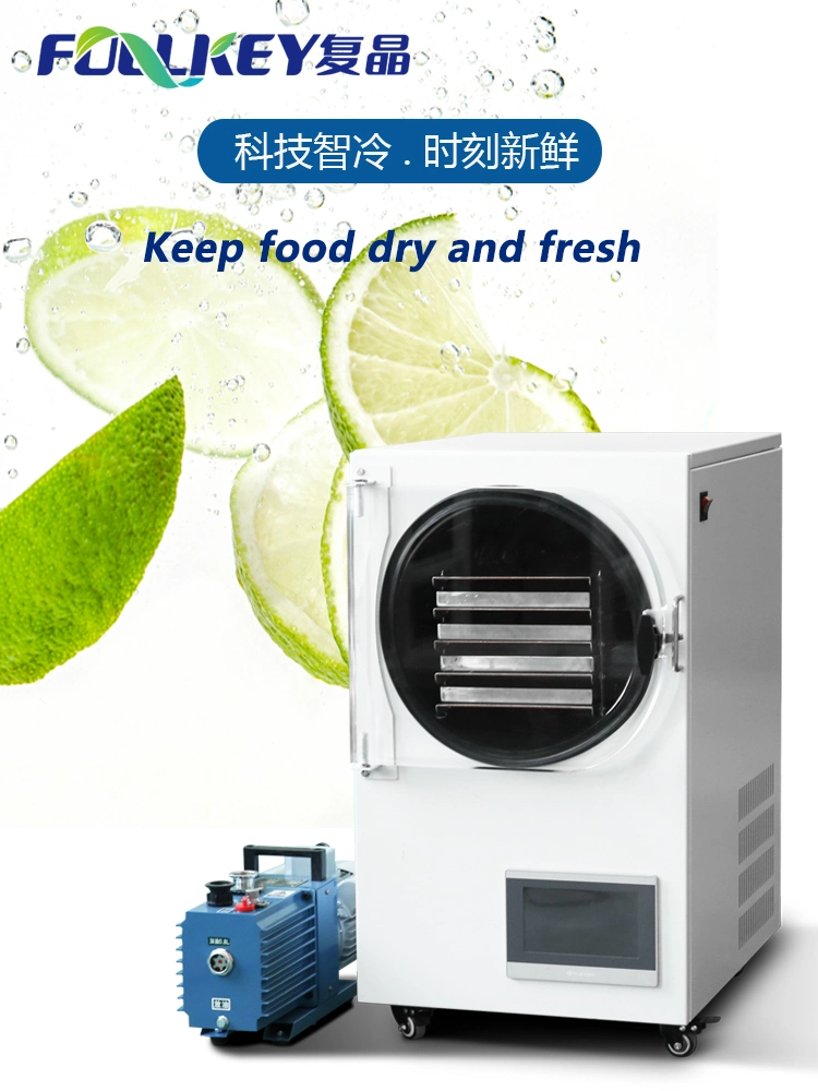 Household Small Vacuum Freeze Dryer Fruit Vegetable Liquid Milk Confectionery