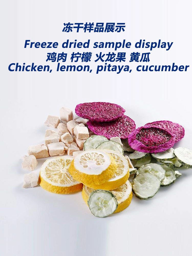 Vacuum Freeze Dryer Vegetables, Fruits and Foods Small Household Size Freeze Dryer 50 Degrees Celsius 8kg