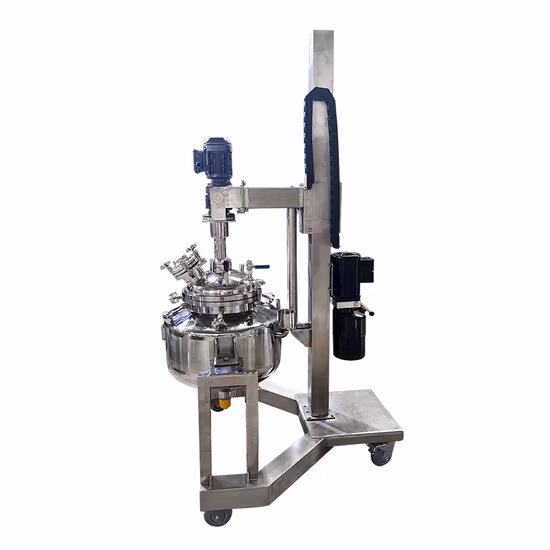 1L 2L 3L 5L 10L Electric Lifting Hydrothermal Autoclave Bubble Column High Pressure Reactor