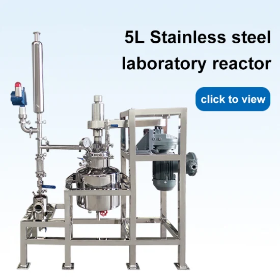 Laboratory Stainless Steel Small High Pressure Reactor with Magnetic Stirring Paddle