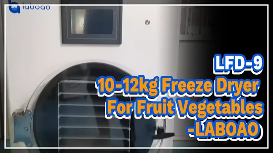 Laboao Mini Small Home Food Vacuum Freeze Dryer Lyophilizer Equipment ...