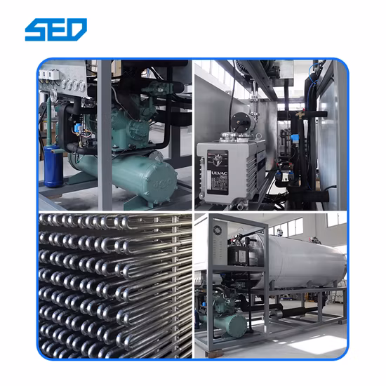 Fully Automatic Vacuum Food Freeze Drying Machine Manufacturer Plant